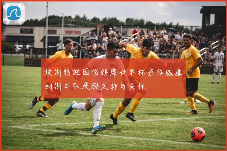 埃斯特旺因伤缺席世界杯亲临威廉姆斯车队展现支持与关怀